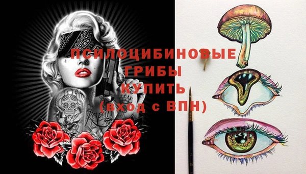 прущие крисы Россошь