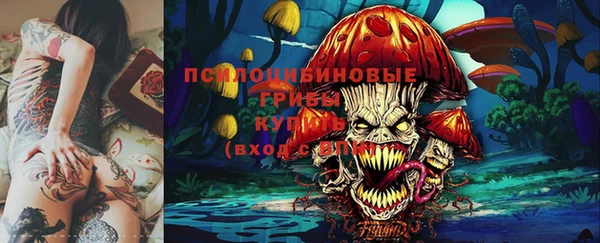 прущие грибы Алексин