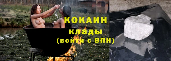 прущие грибы Алексин