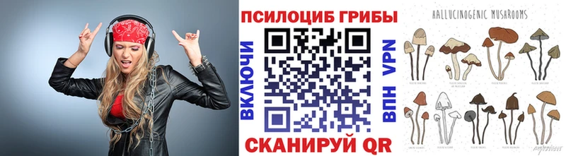 закладки  Исилькуль  Галлюциногенные грибы ЛСД 